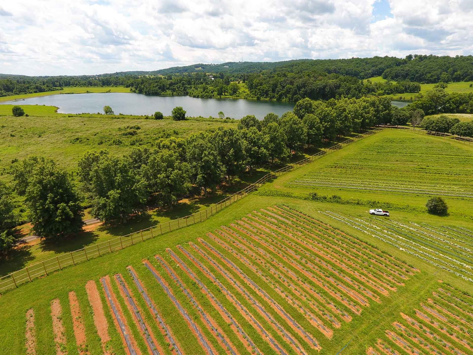 Aerial view of Airlie's farm fields and lake in rolling Virginia countryside