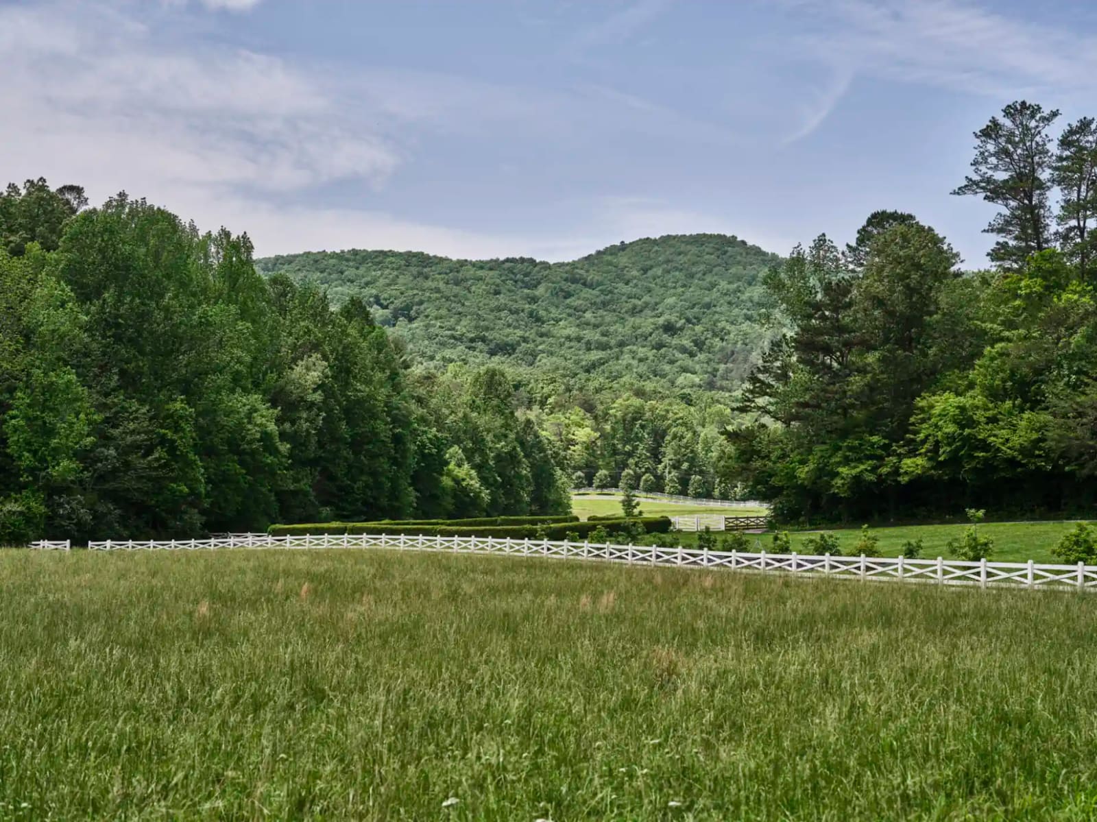 Pasture and white farm fencing below a wooded Smoky Mountain ridge
