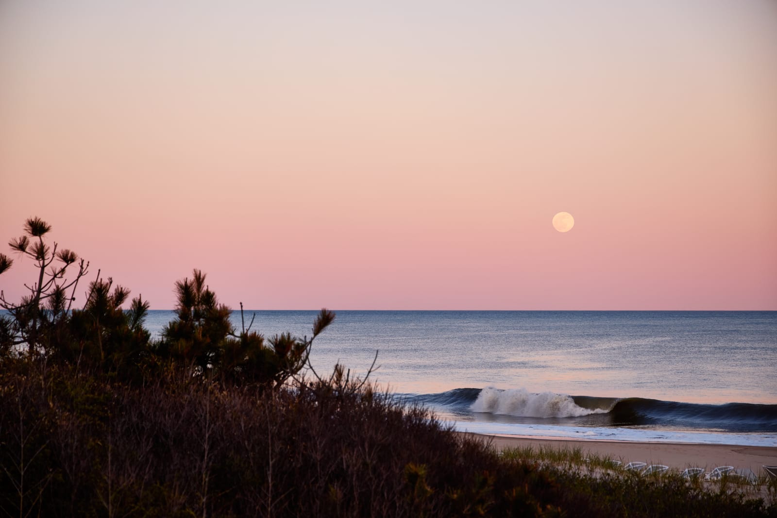 Dune grass and an ocean beach under a pink sky at dusk