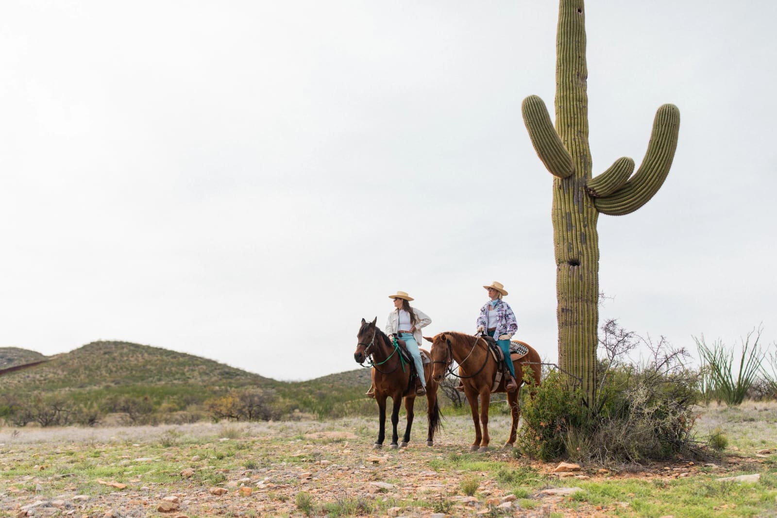 Two riders beside a tall saguaro cactus