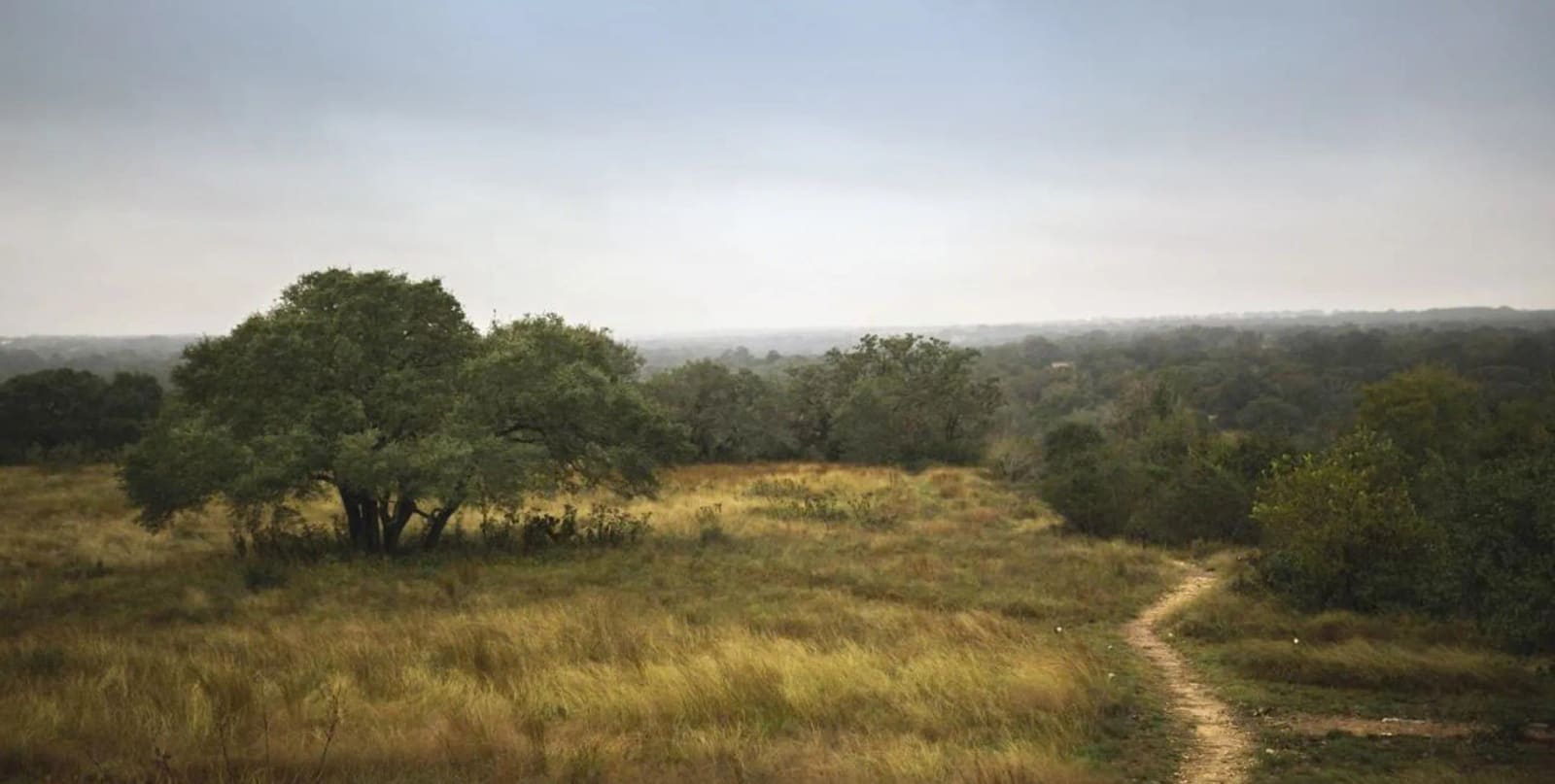 Hiking trail through Hill Country grassland and live oaks