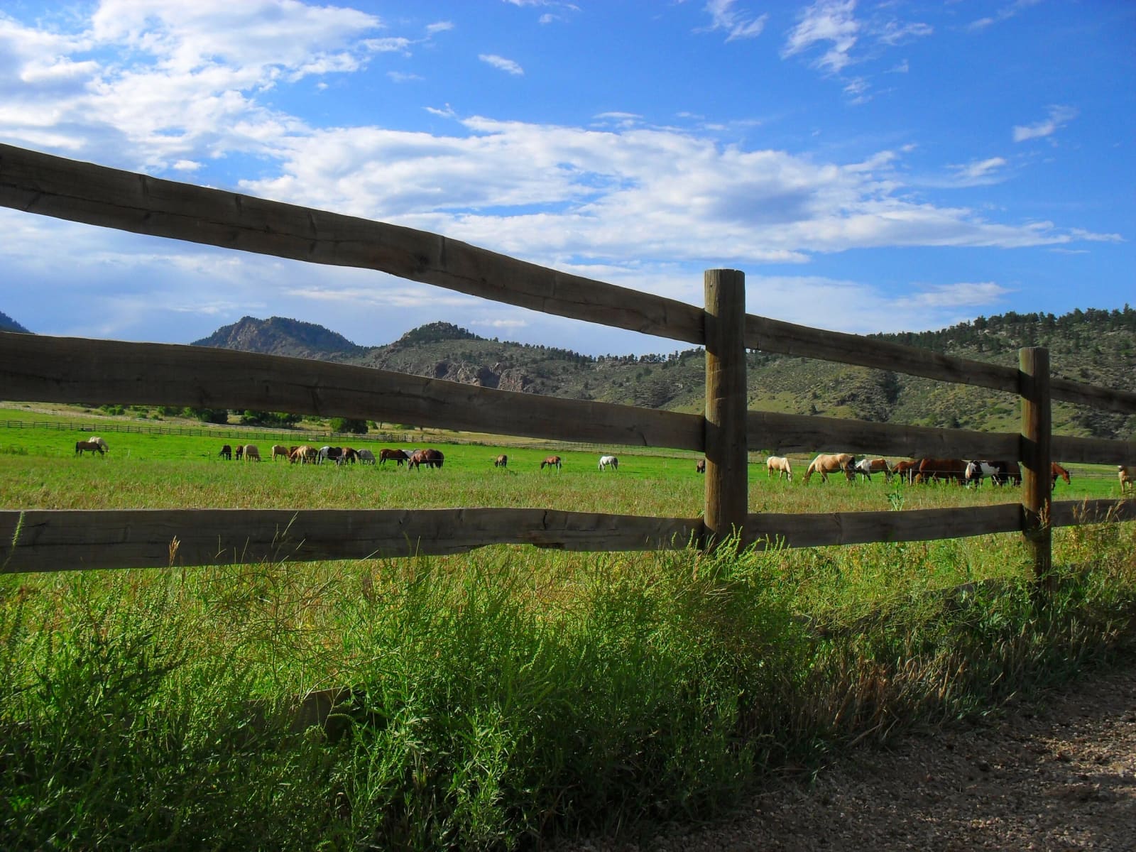 Ranch pasture and fence line below the foothills