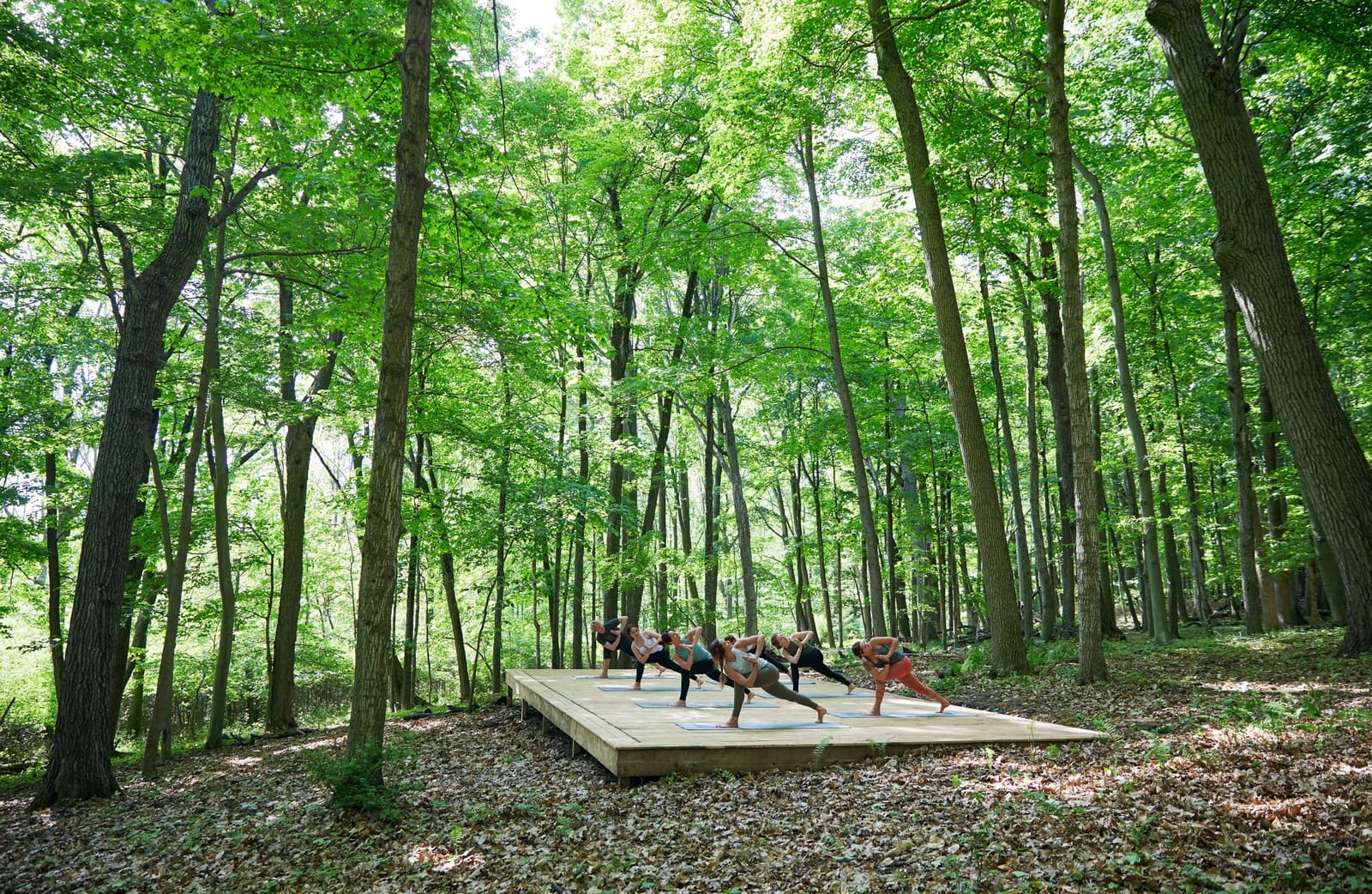 A wooden yoga platform in a sunlit forest clearing