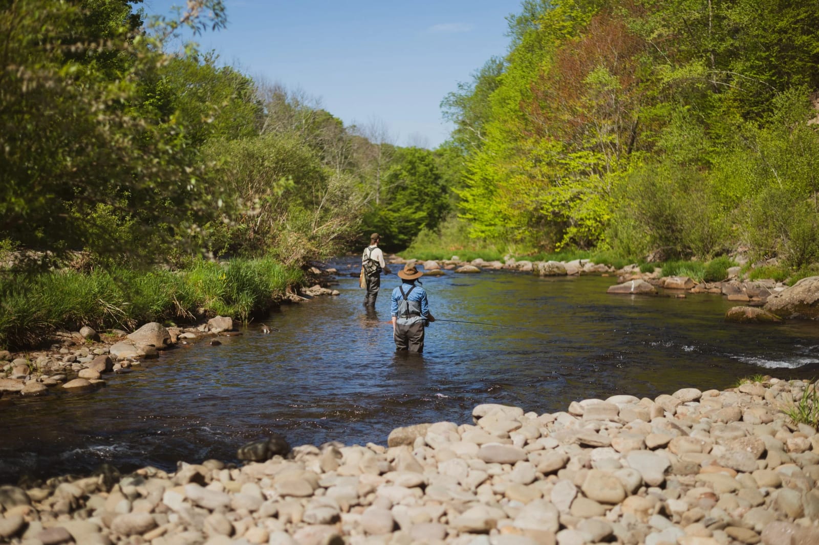 An angler fly fishing in a rocky Catskills river lined with trees