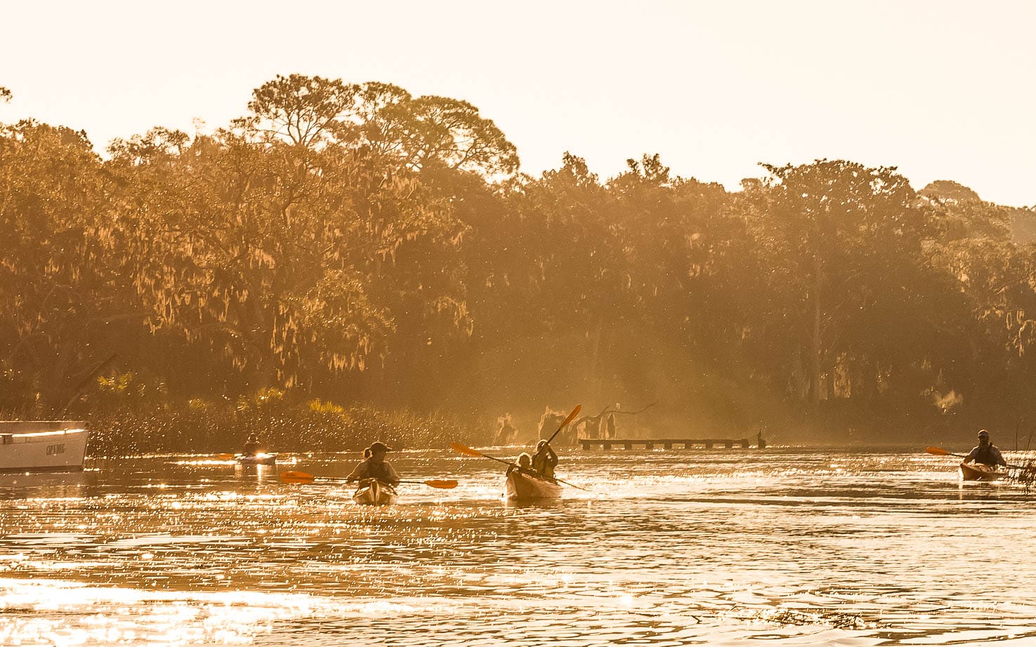 Guests kayaking in the tidal creeks