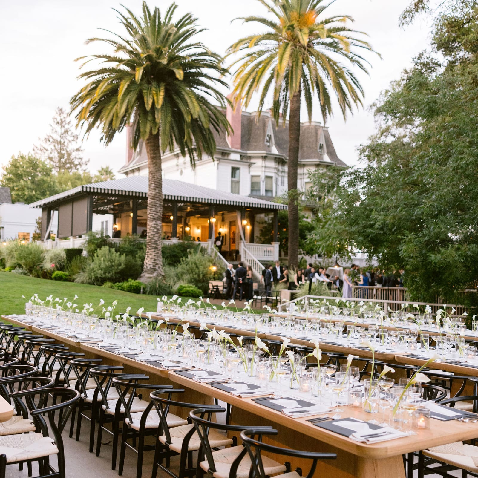 Long dinner tables on the South Lawn below the mansion and palms